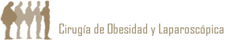 Dr. José Lizarazu Jaldí­n – Cirugía de Obesidad y Laparoscópica